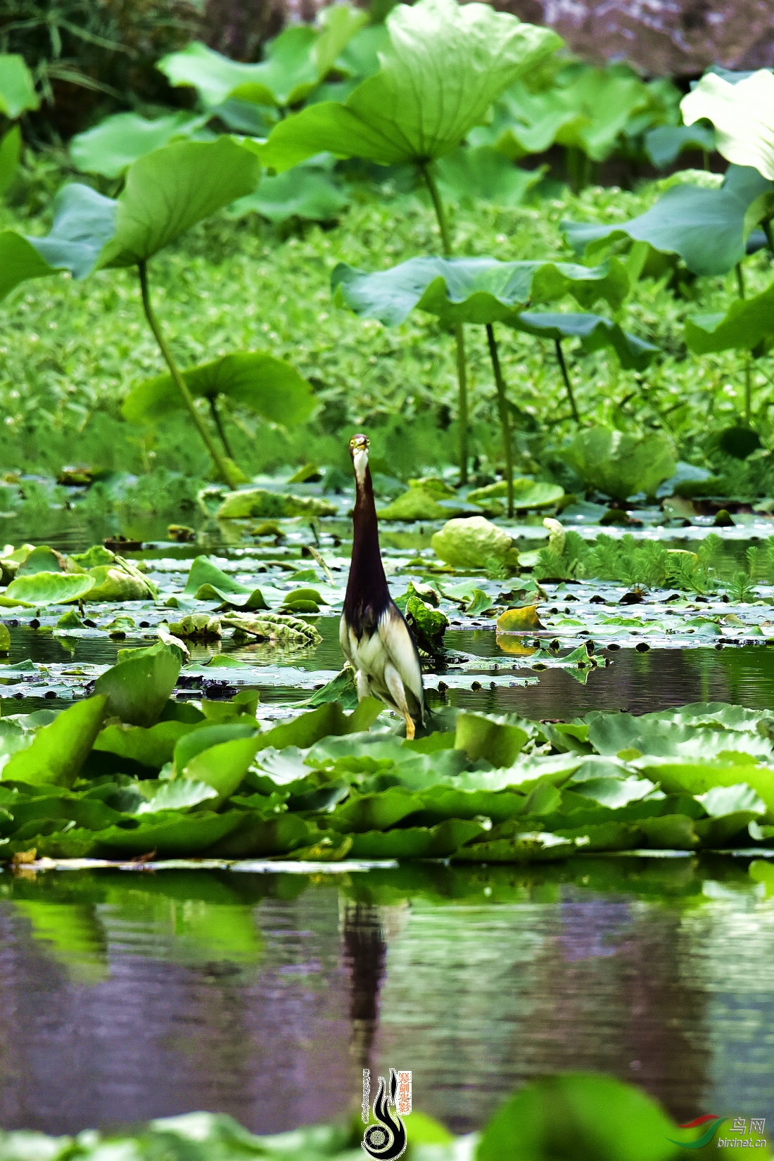 DSC_1344.JPG
