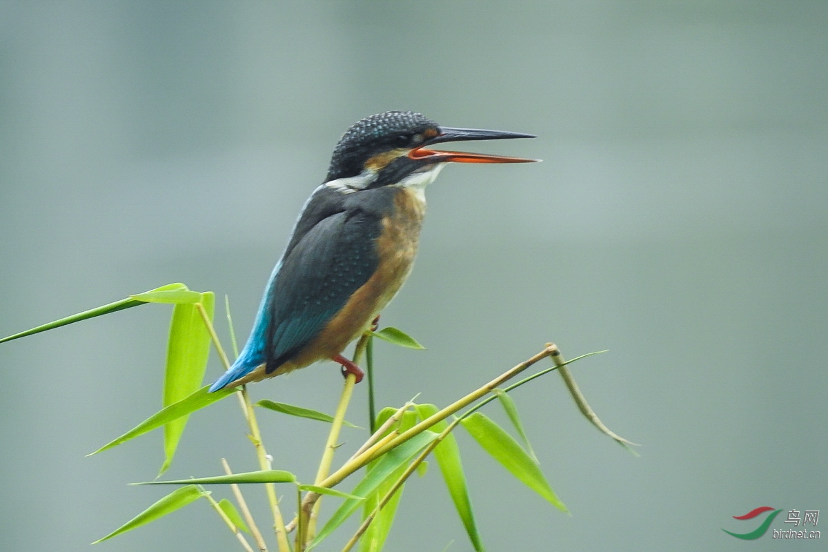 DSCN4241.JPG