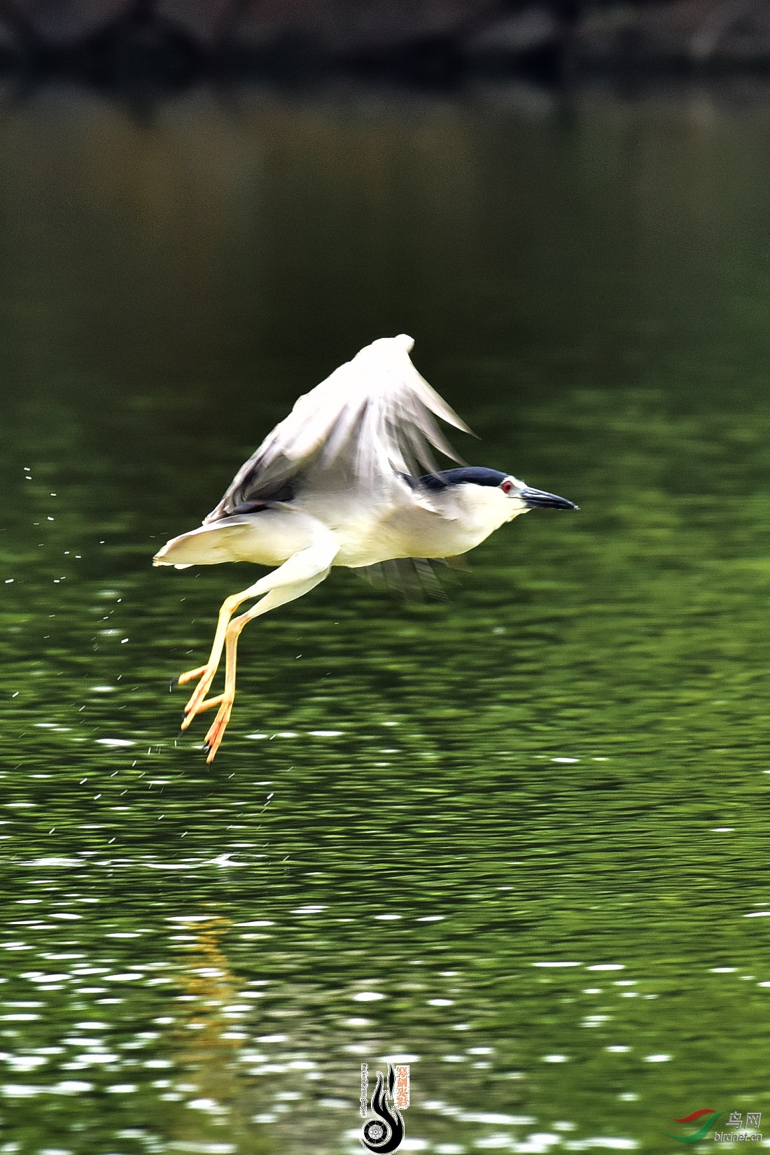 DSC_1804.JPG