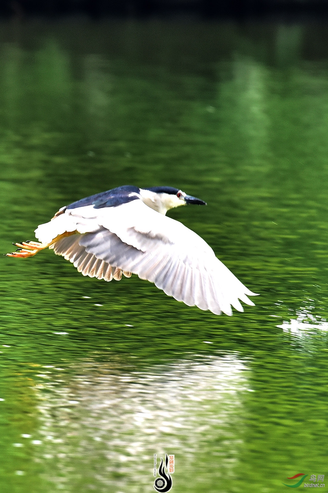 DSC_1808.JPG
