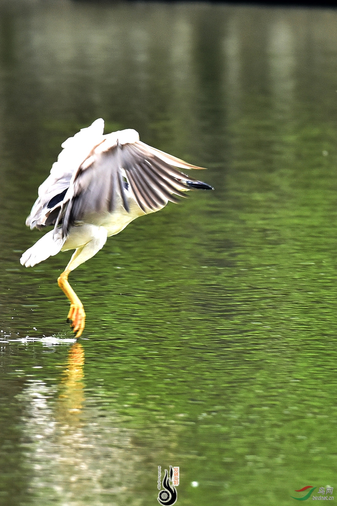 DSC_1813.JPG