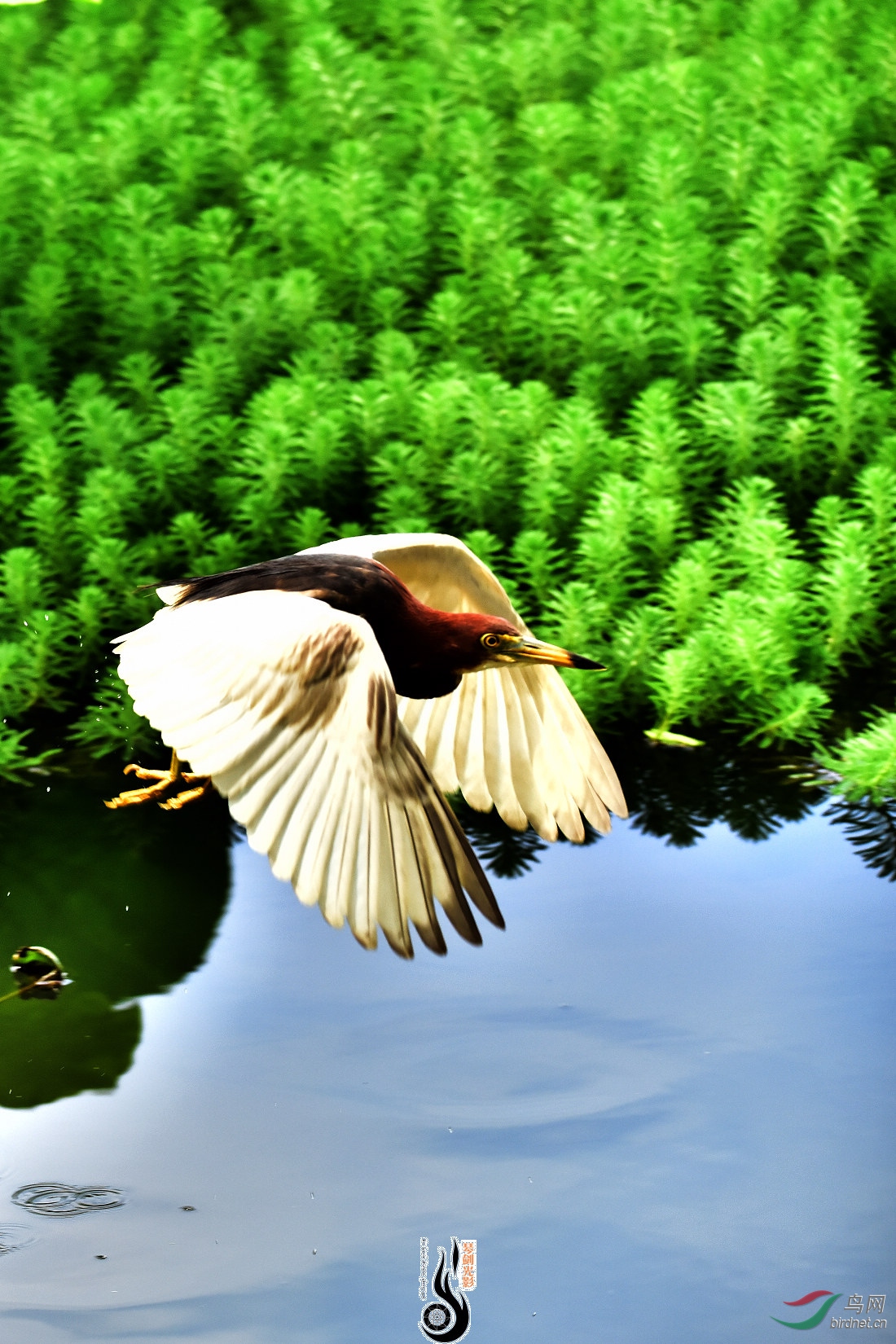 DSC_2266.JPG