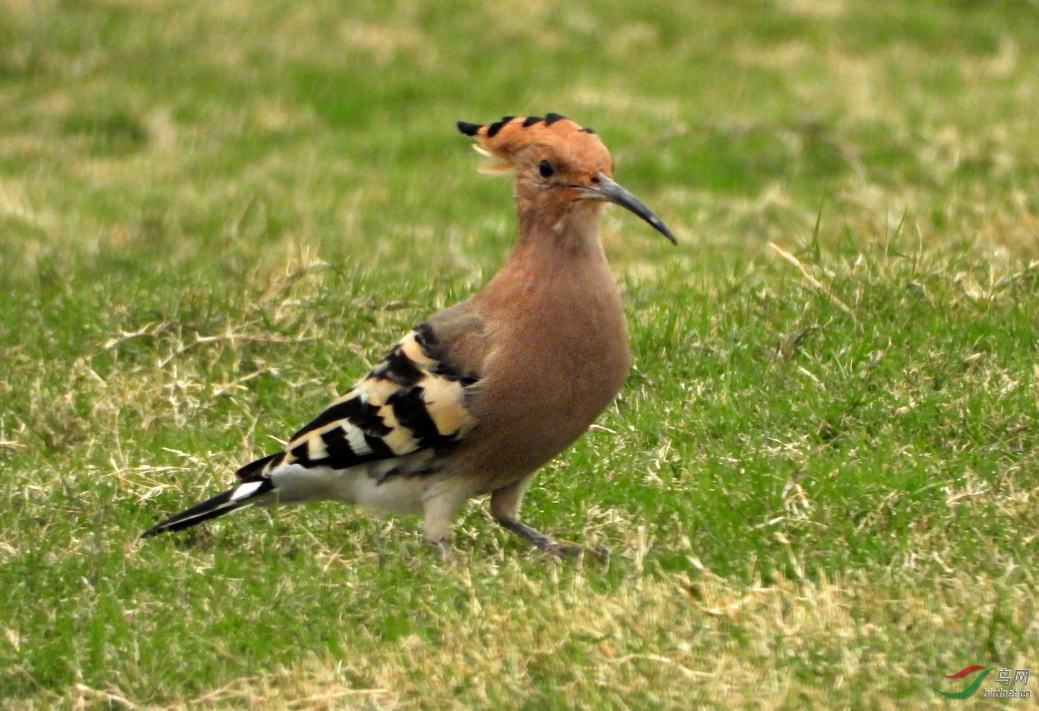 DSCN3574 ����.jpg