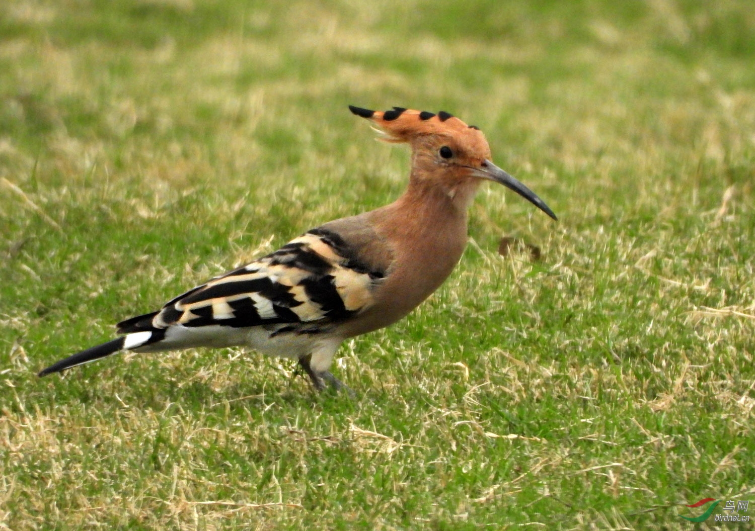 DSCN3579 ����.jpg