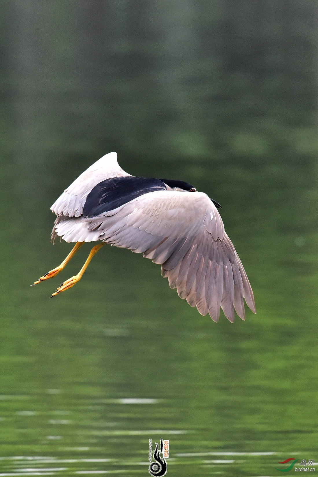 DSC_2350.JPG