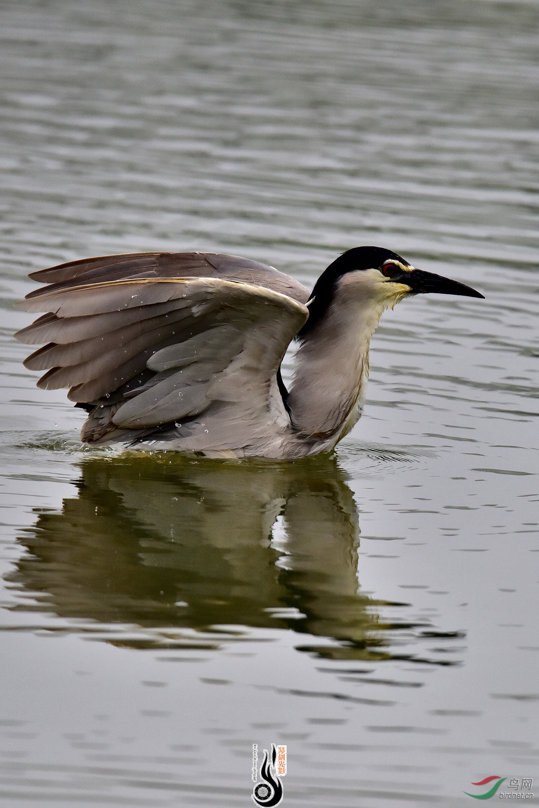 DSC_2413.JPG