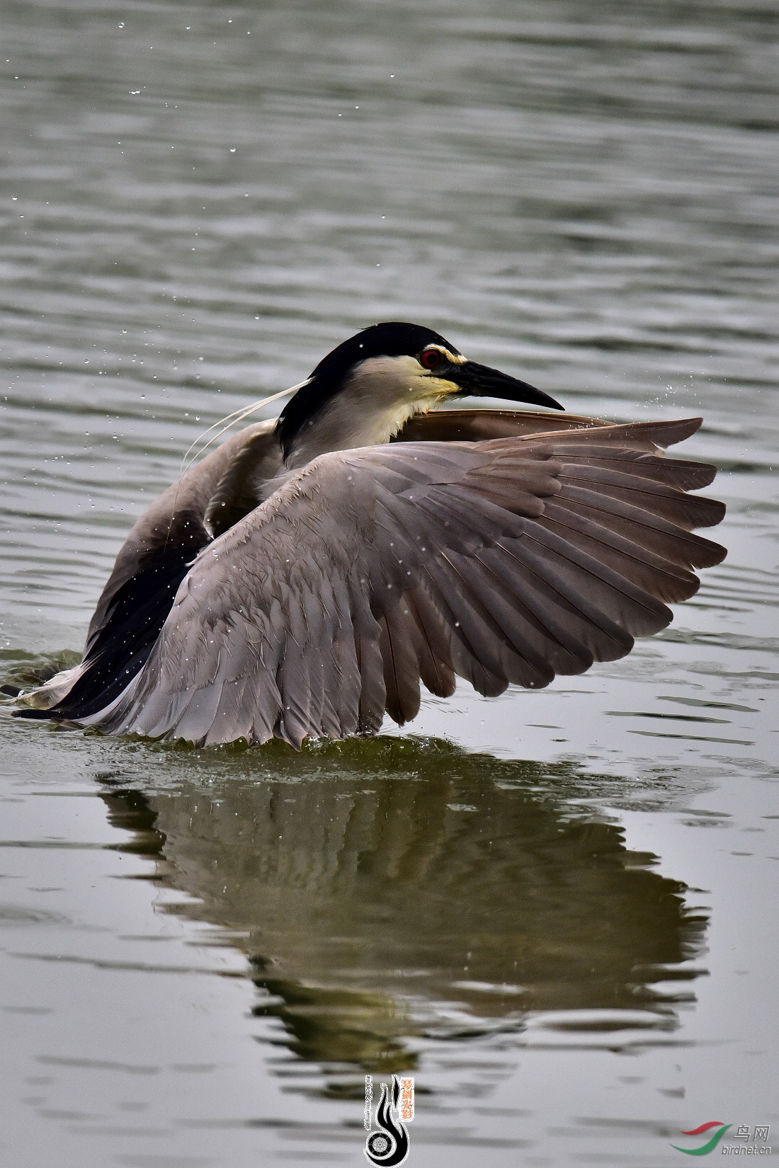 DSC_2414.JPG
