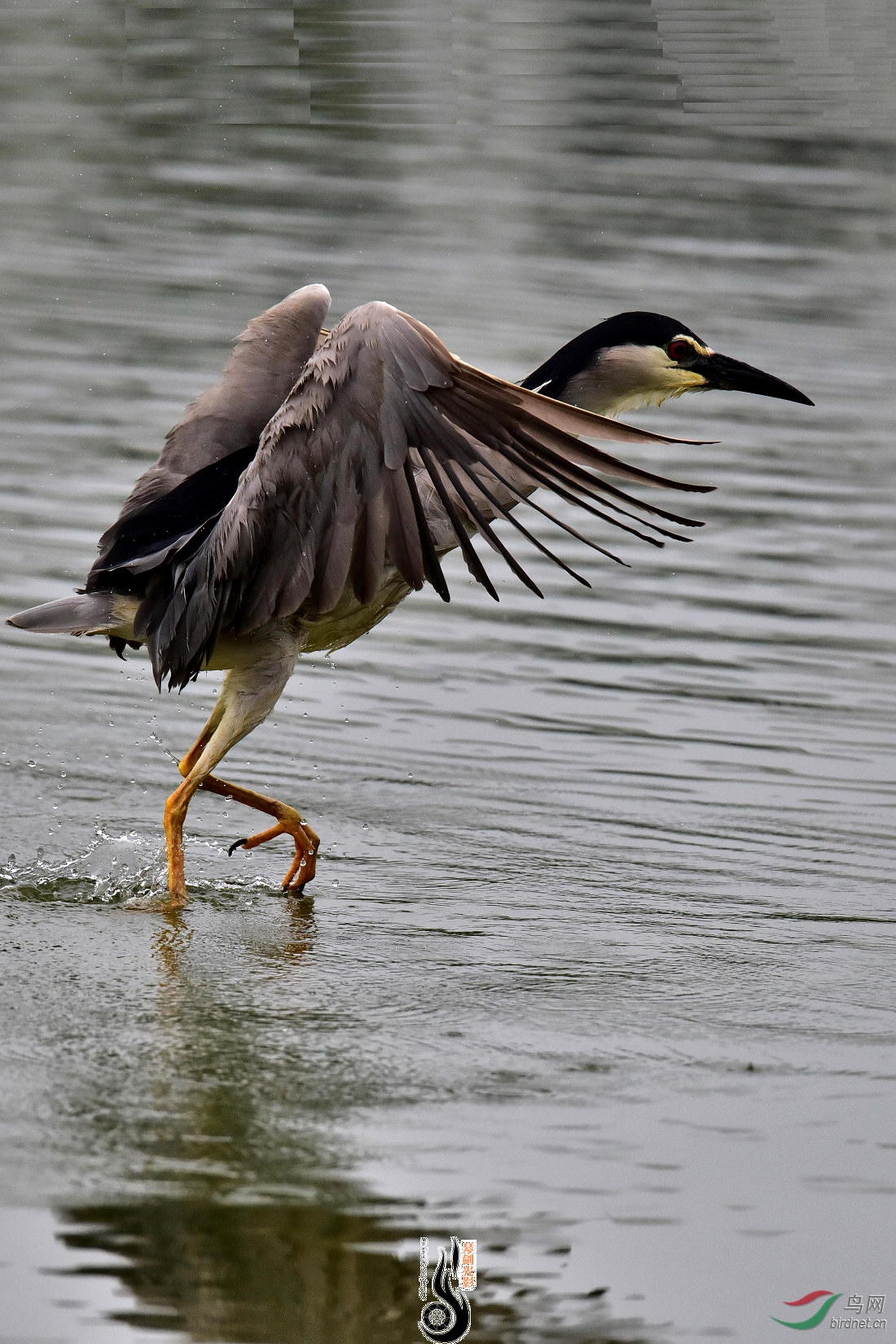 DSC_2416.JPG