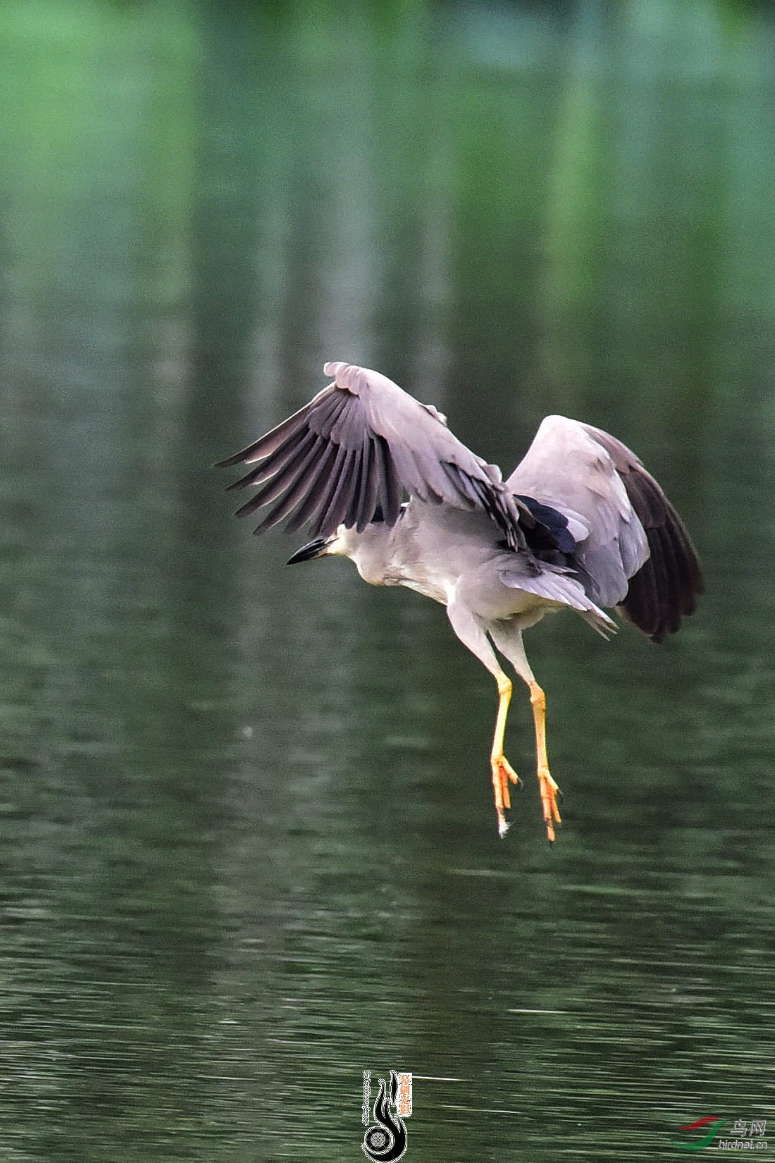 DSC_2425.JPG