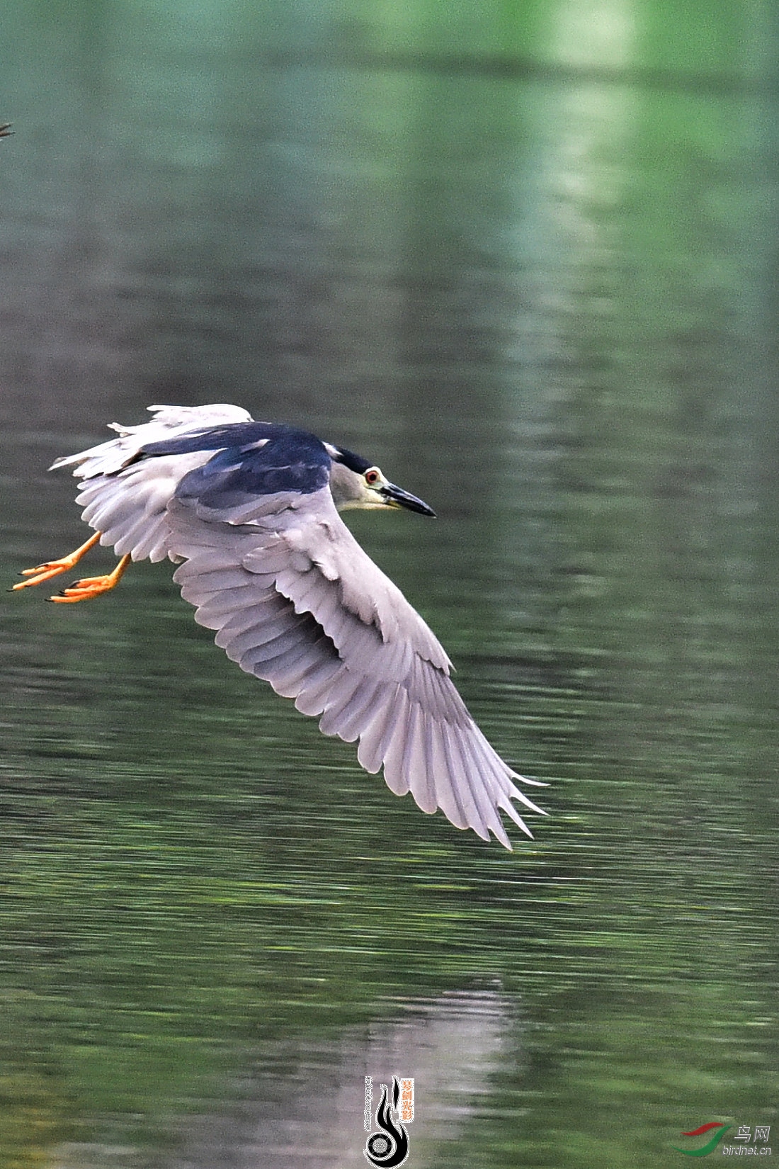DSC_2428.JPG