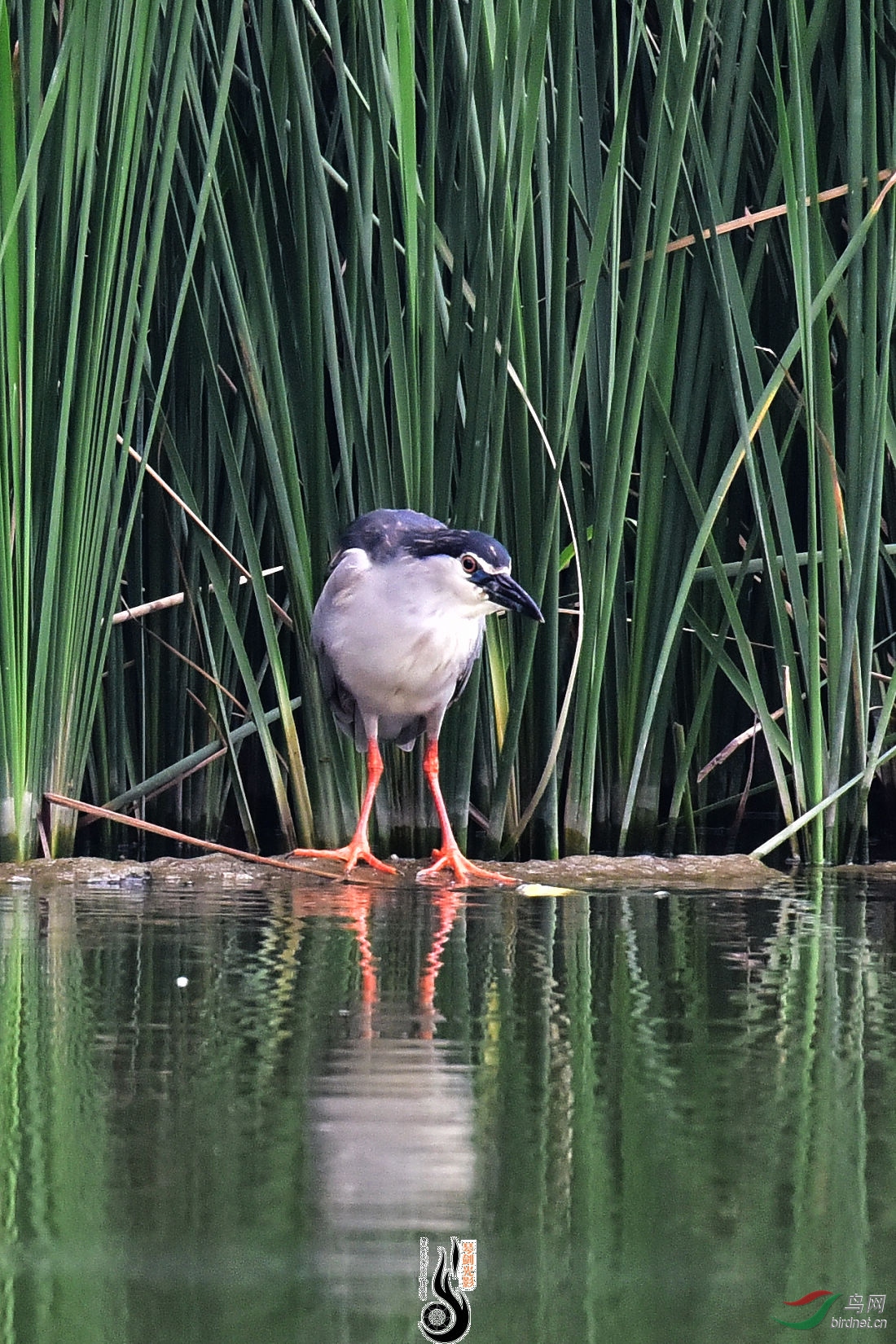 DSC_2494.JPG