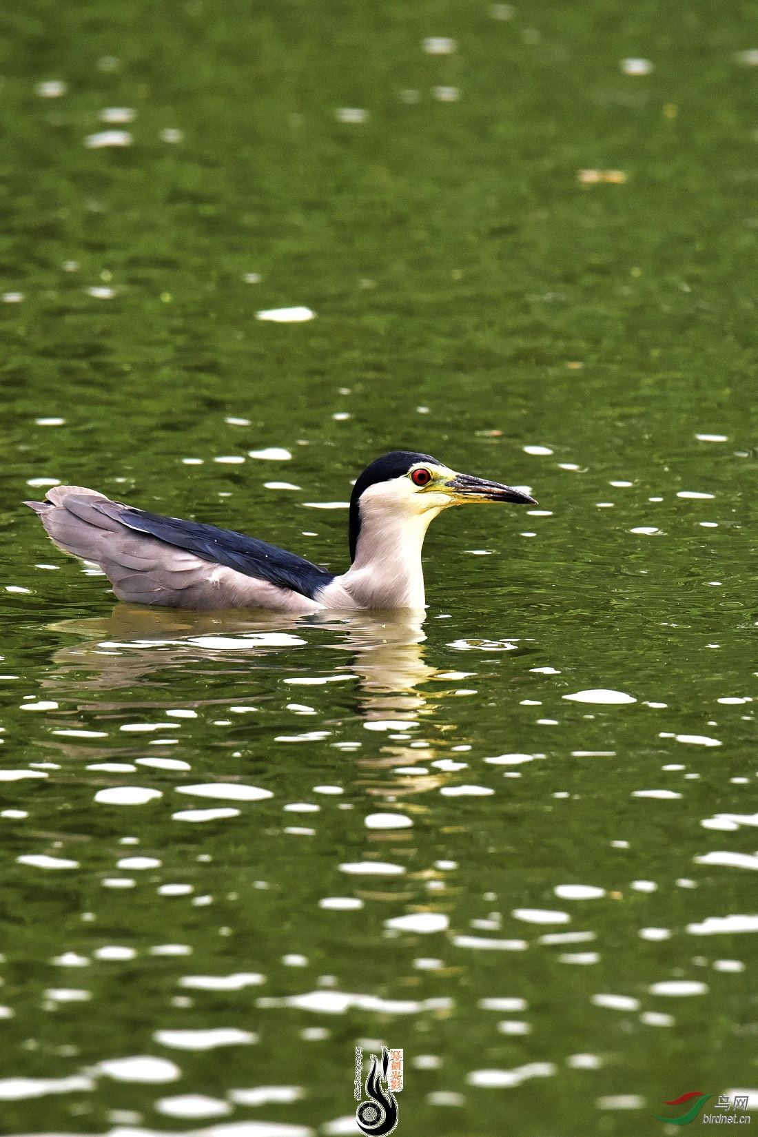 DSC_2590.JPG