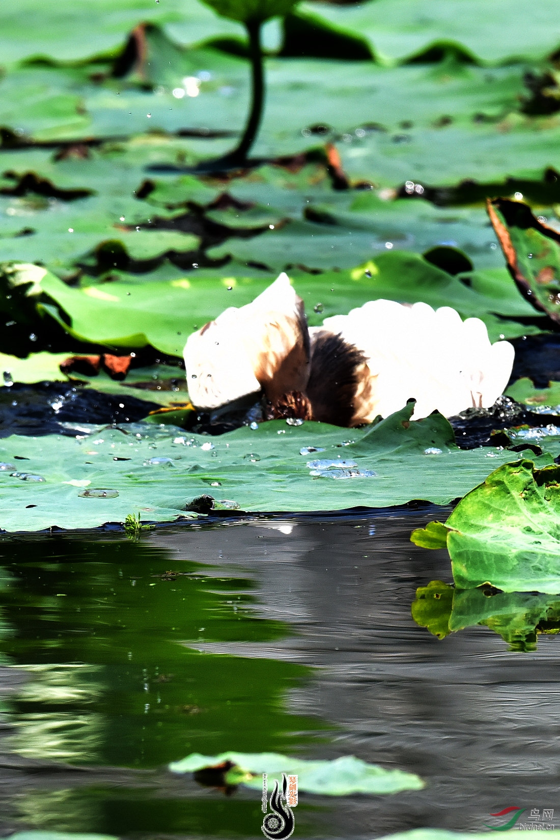 DSC_3022.JPG