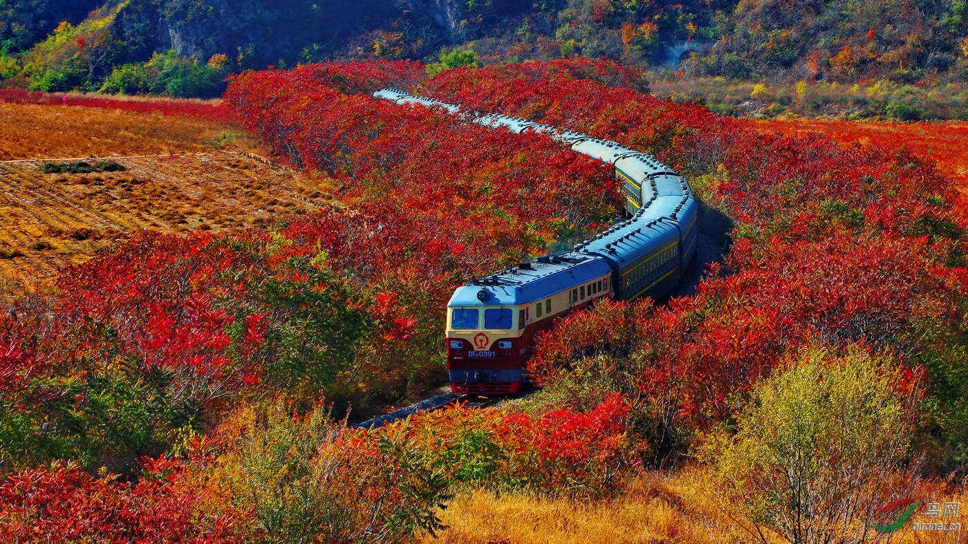 开往秋天的火车