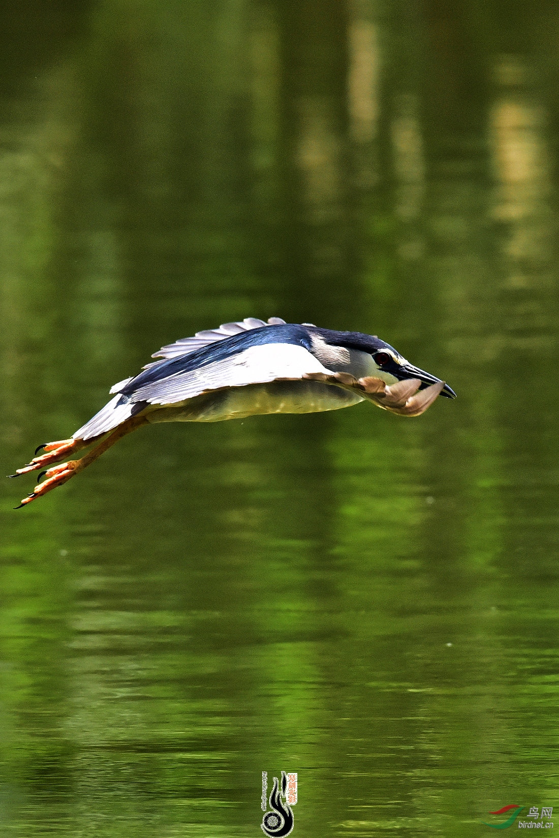 DSC_3122.JPG