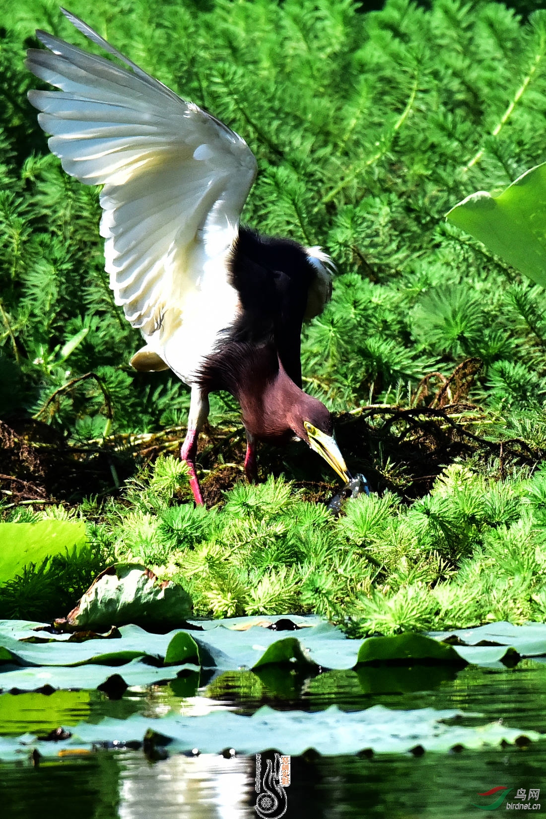 DSC_3142.JPG