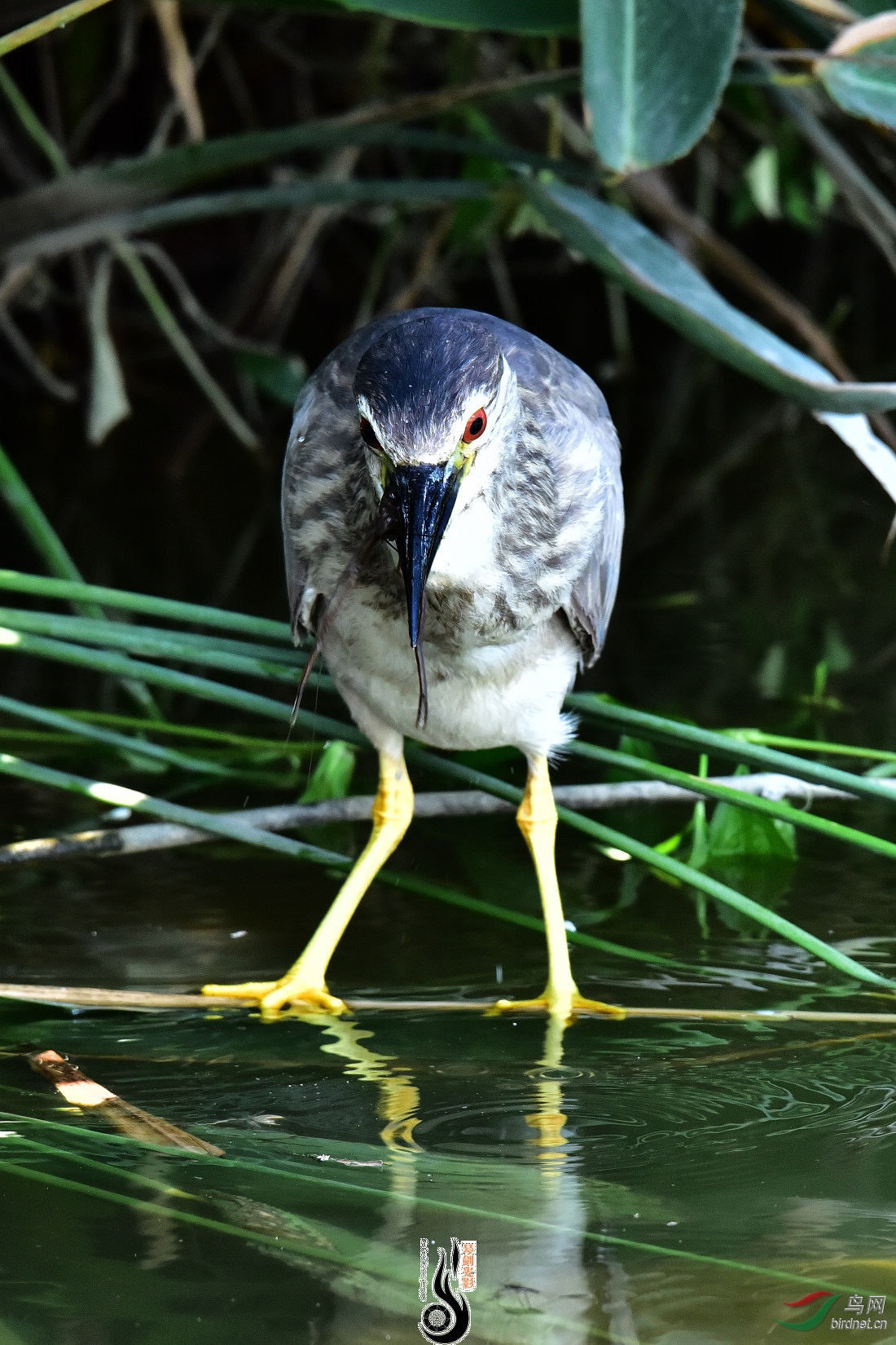 DSC_3278.JPG
