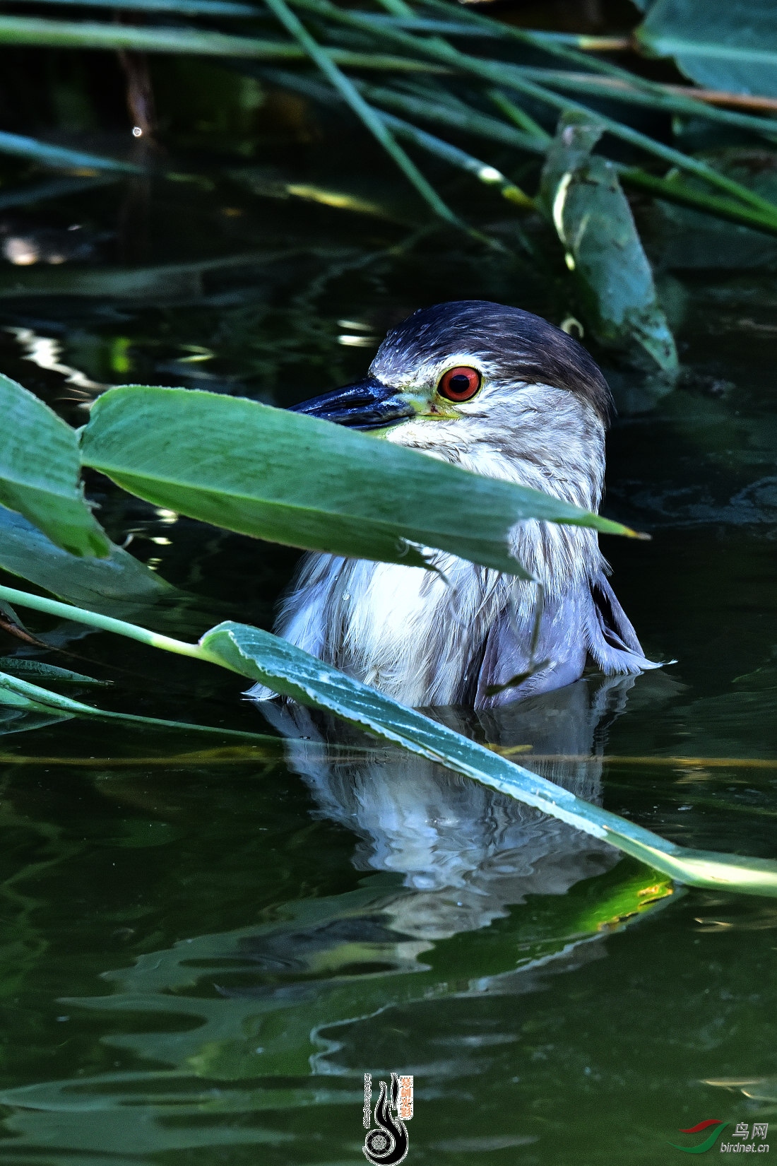 DSC_3294.JPG