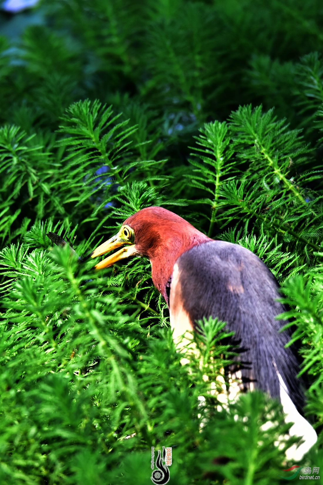 DSC_3329.JPG