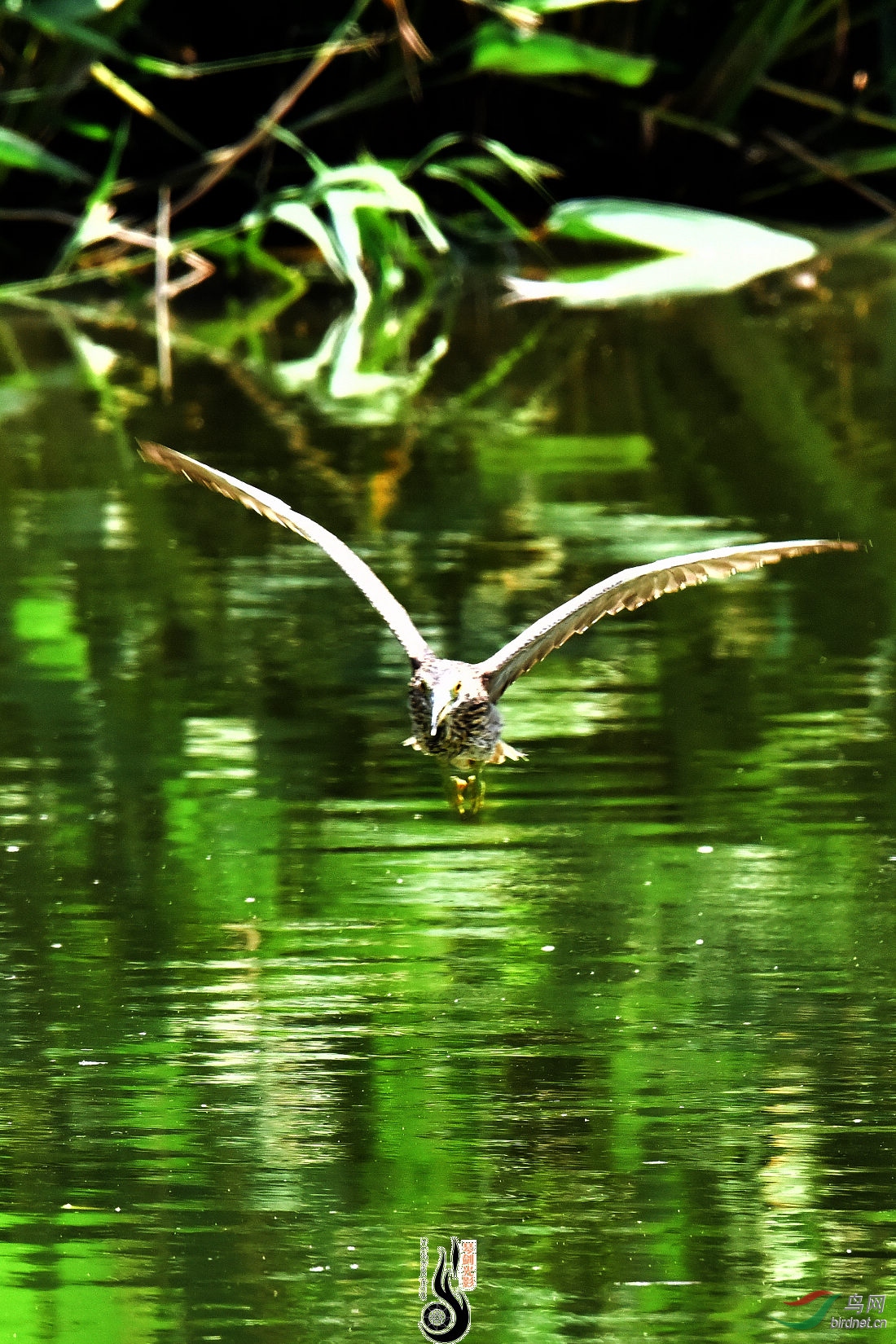 DSC_3358.JPG