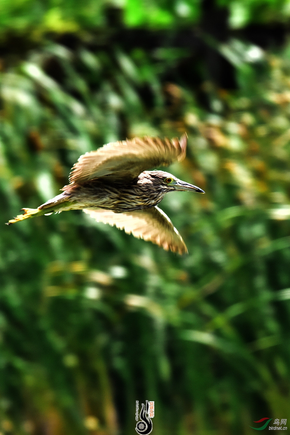 DSC_3360.JPG