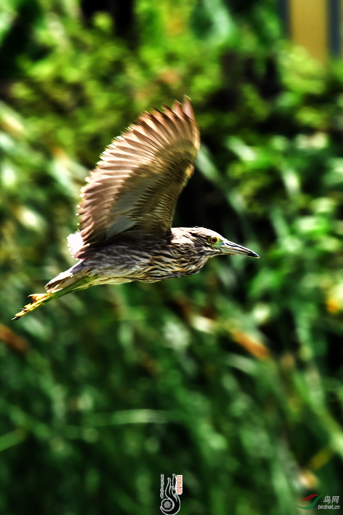 DSC_3361.JPG