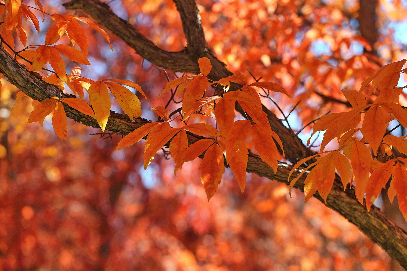 DF9W9062 ��ͼ ����.jpg