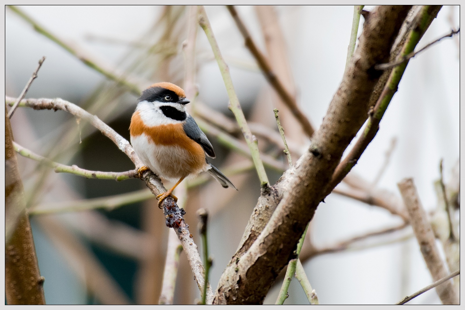 5~6���в���