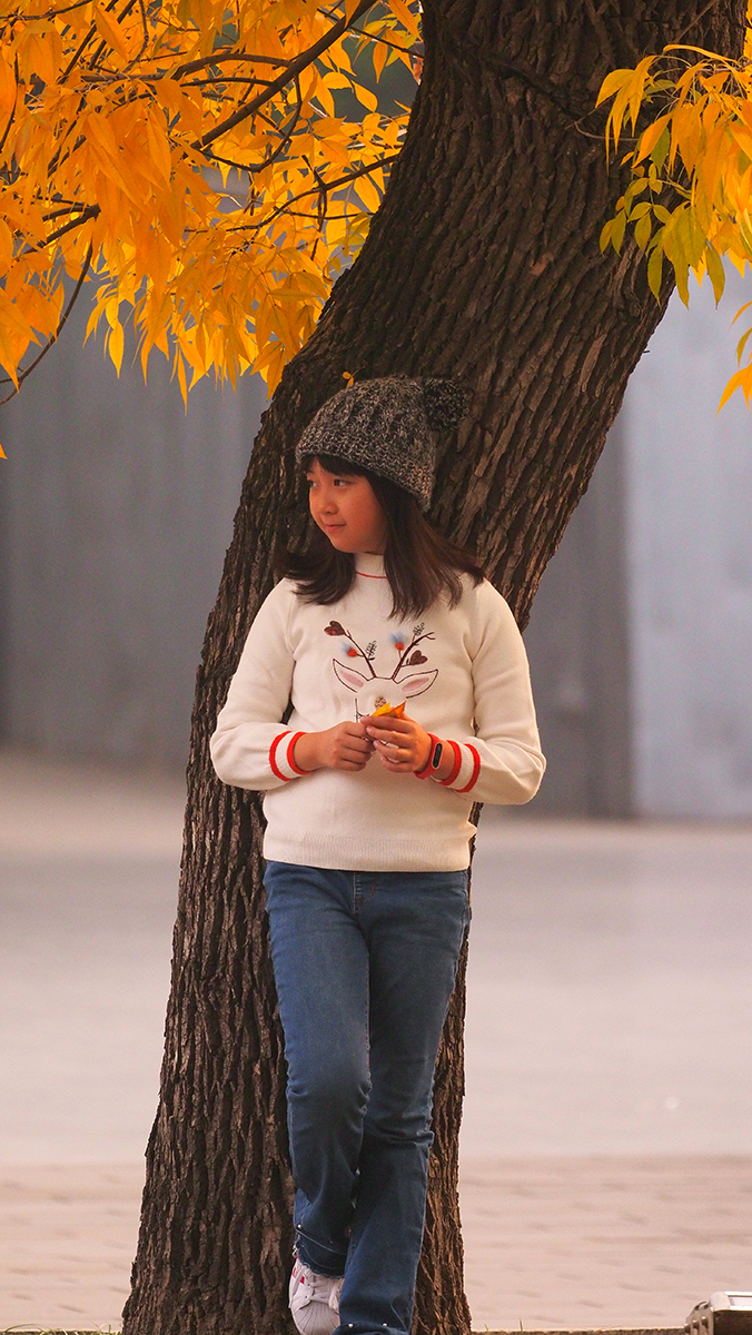 AYRE0087.jpg