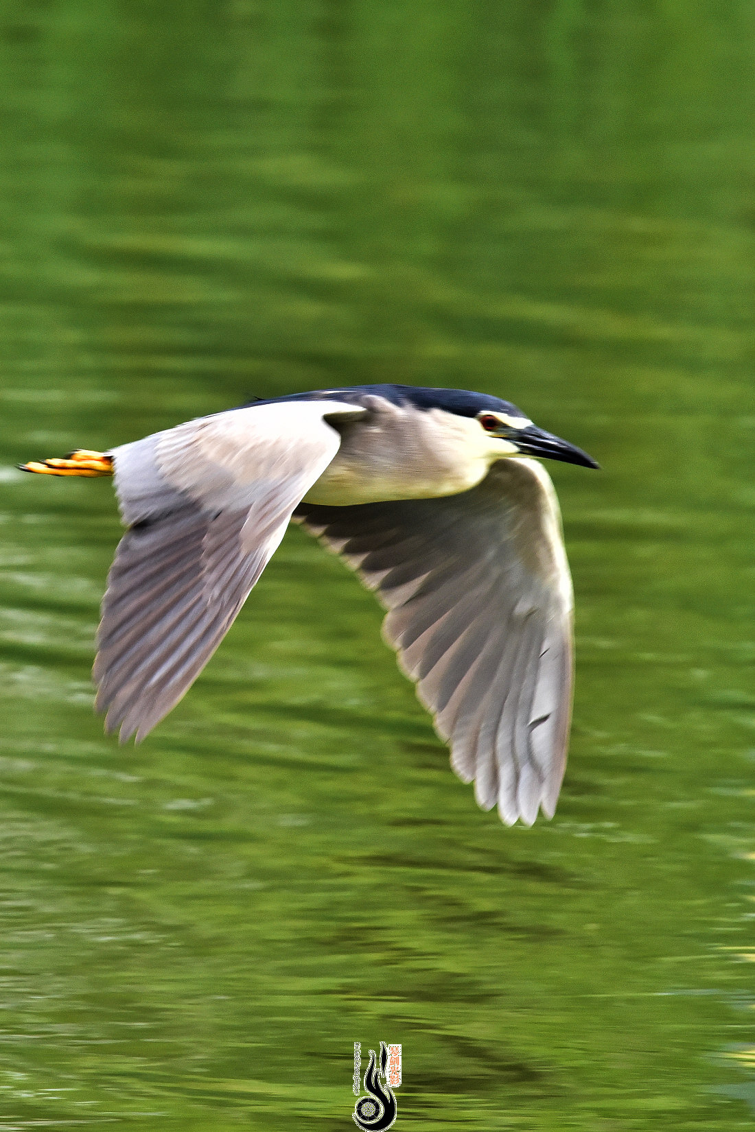 DSC_3425.JPG