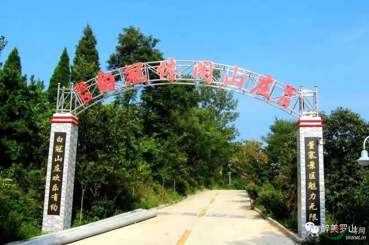 [公告] 最是一年拍鸟季--河南董寨白冠长尾雉鸟网观鸟基地恭候您的到