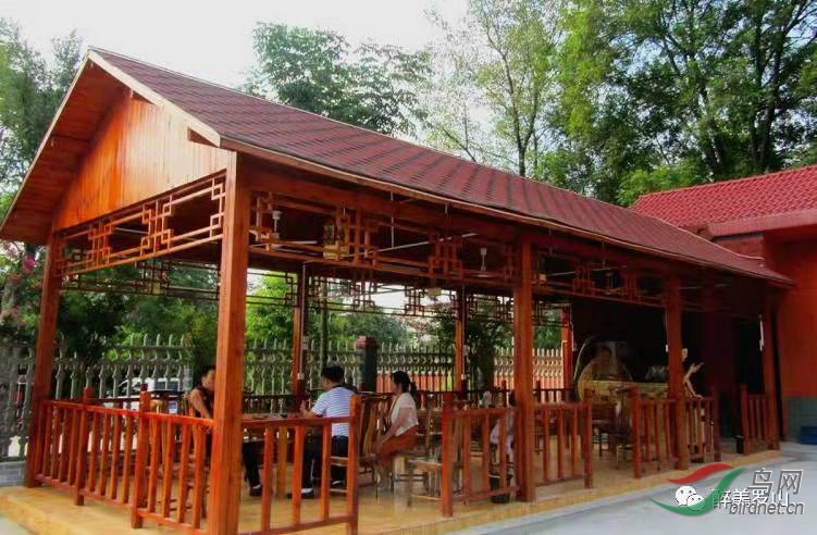 [公告] 最是一年拍鸟季--河南董寨白冠长尾雉鸟网观鸟基地恭候您的到