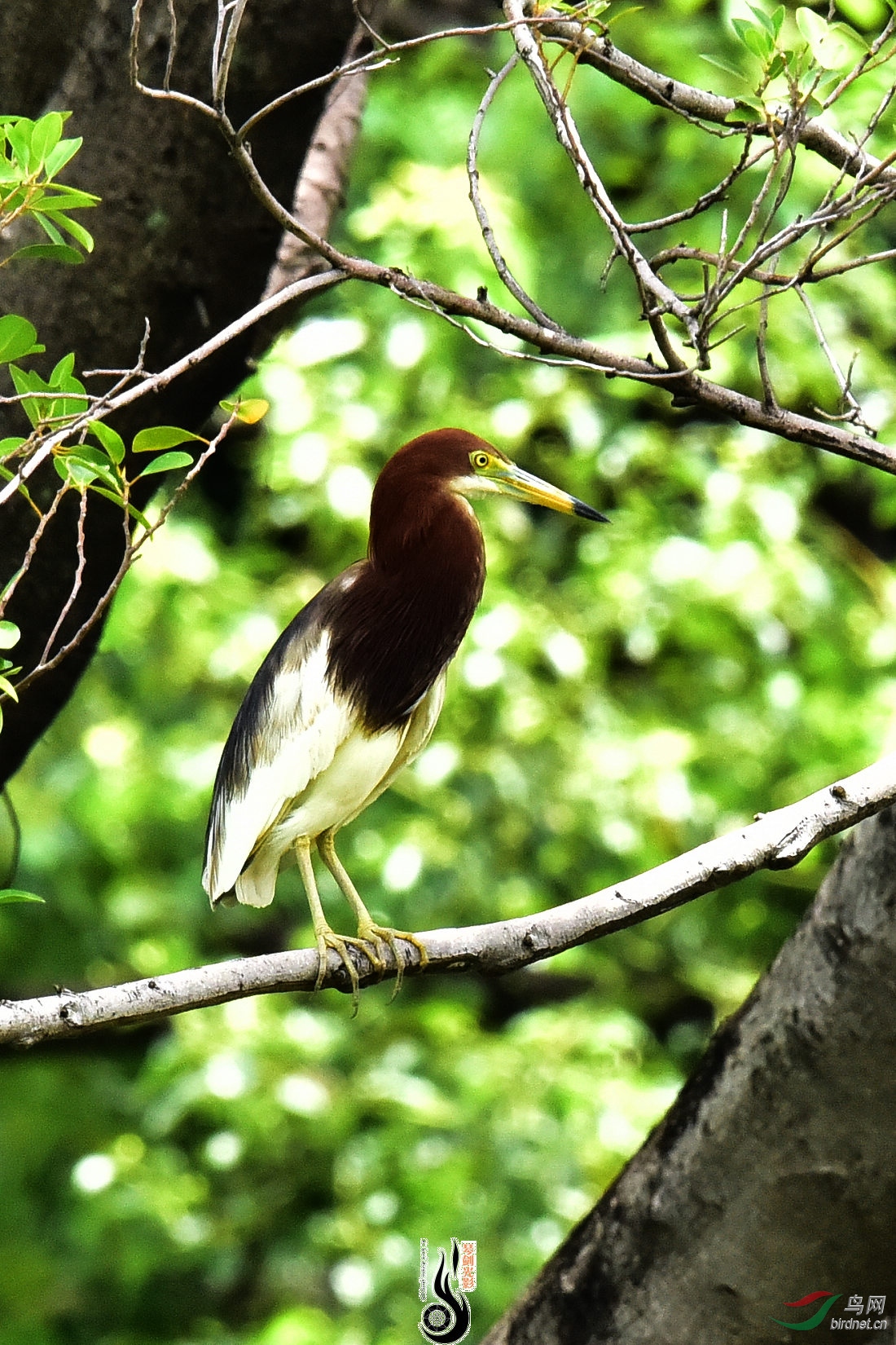 DSC_3479.JPG