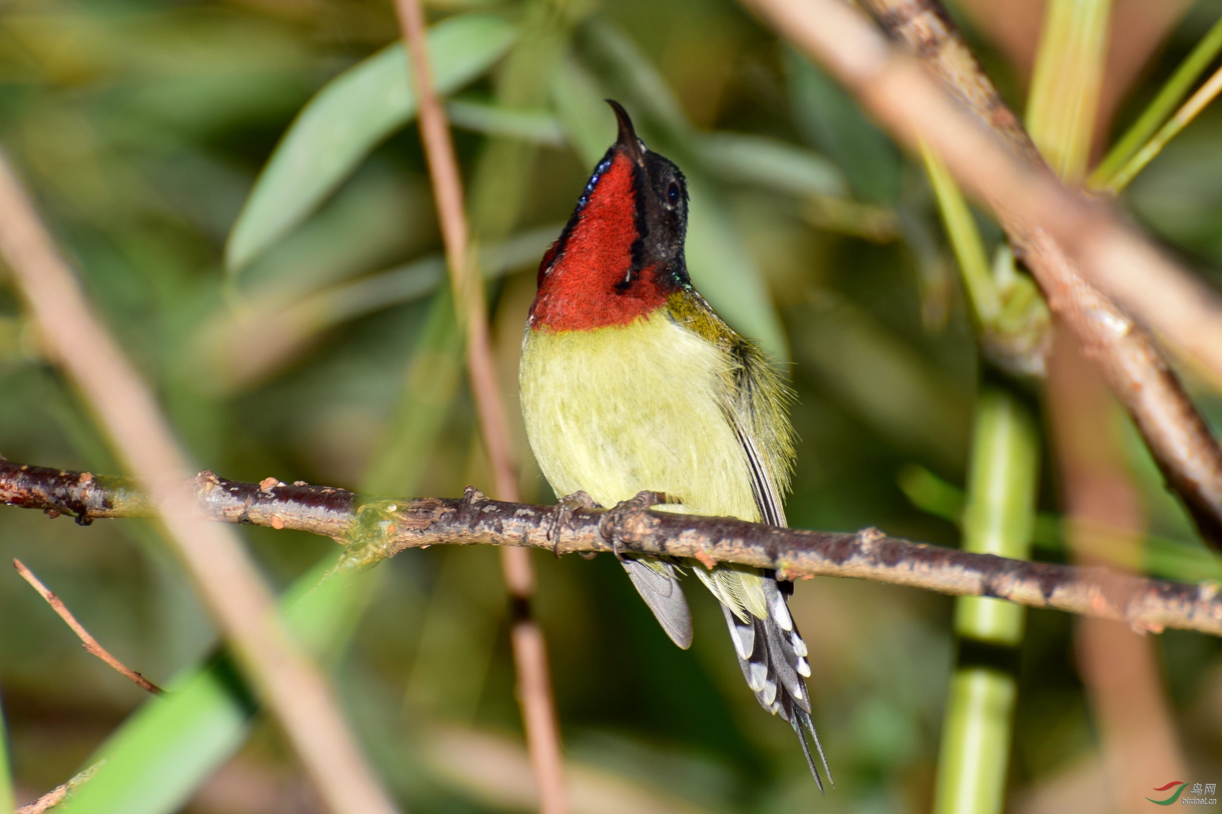 DSC_2512.JPG