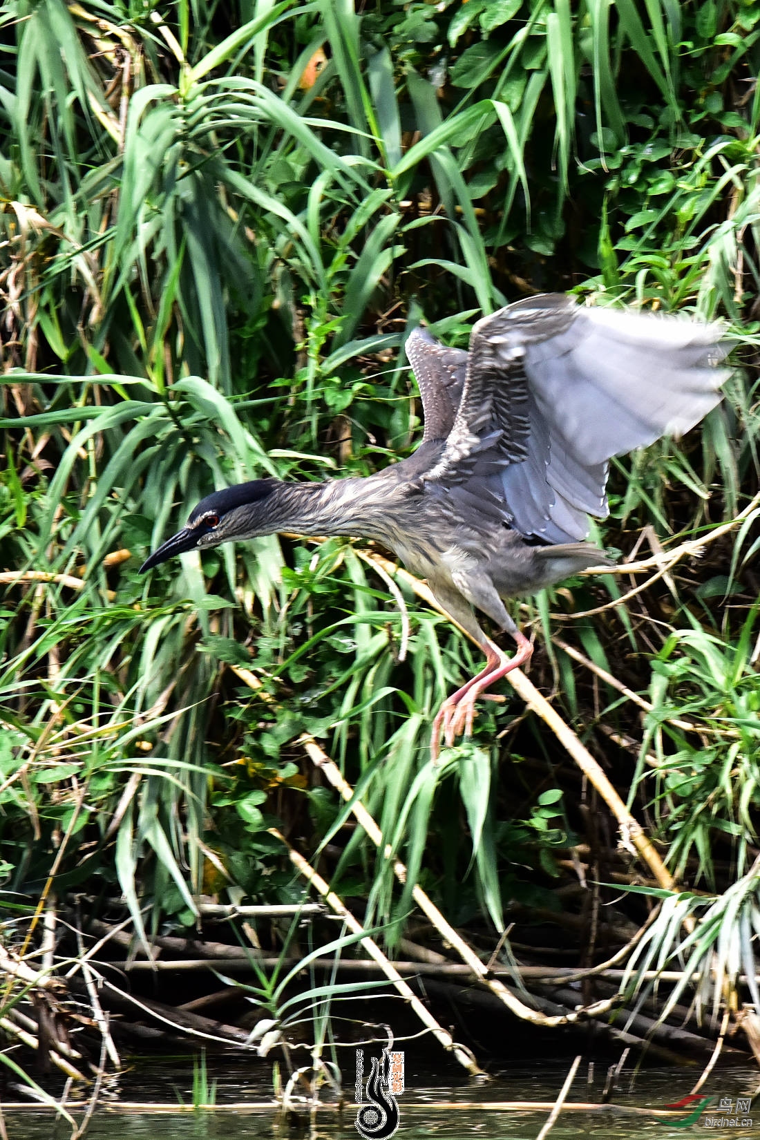DSC_3489.JPG