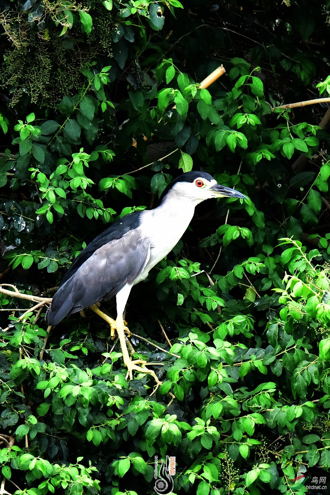 DSC_3517.JPG