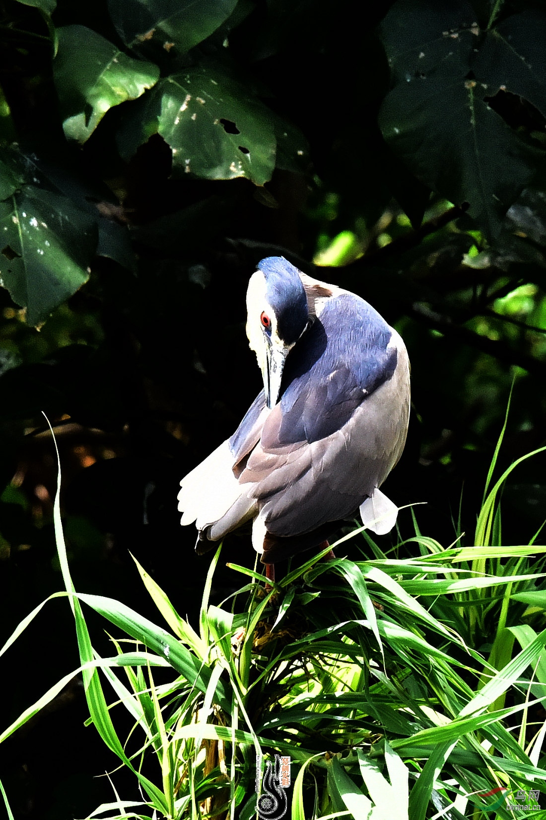 DSC_3521.JPG