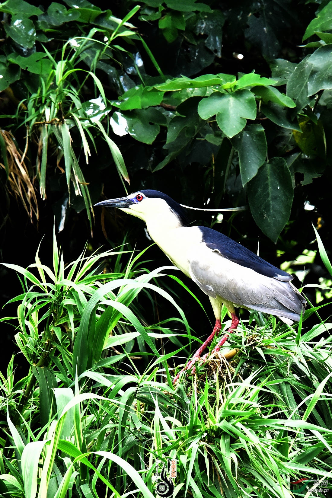 DSC_3525.JPG