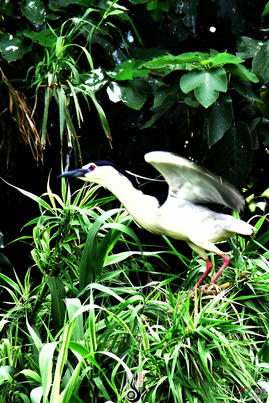 DSC_3526.JPG