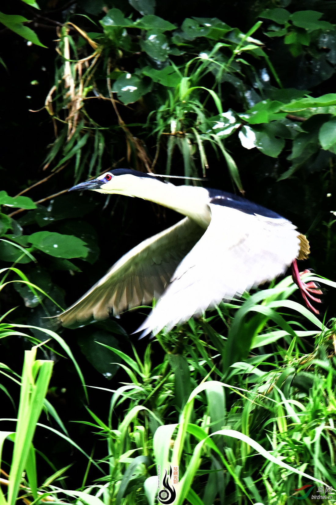 DSC_3527.JPG