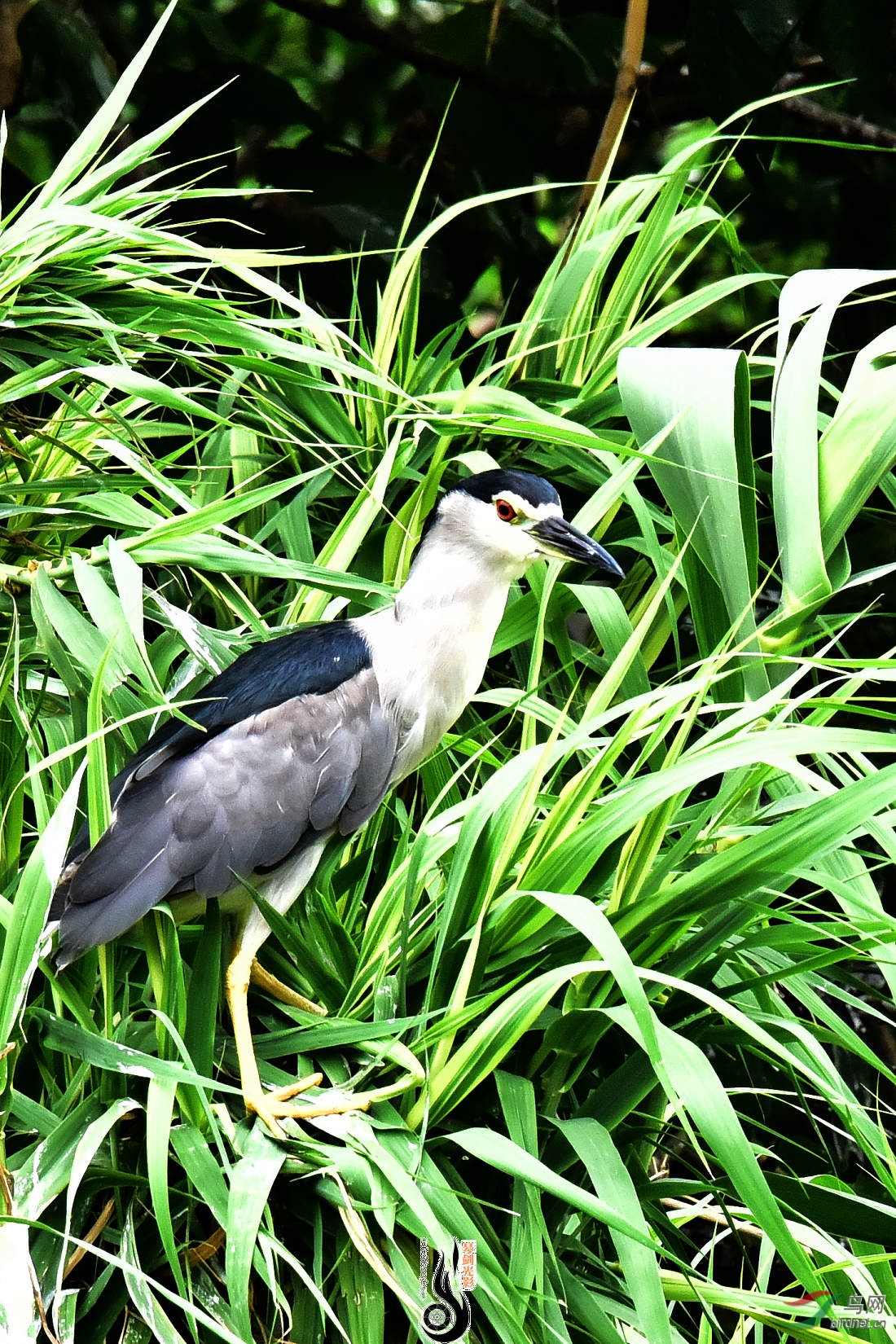 DSC_3582.JPG
