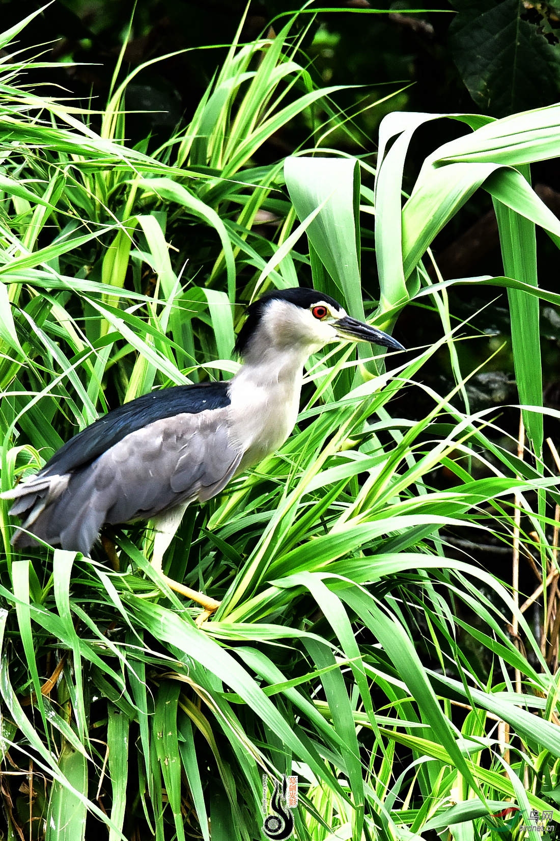 DSC_3583.JPG