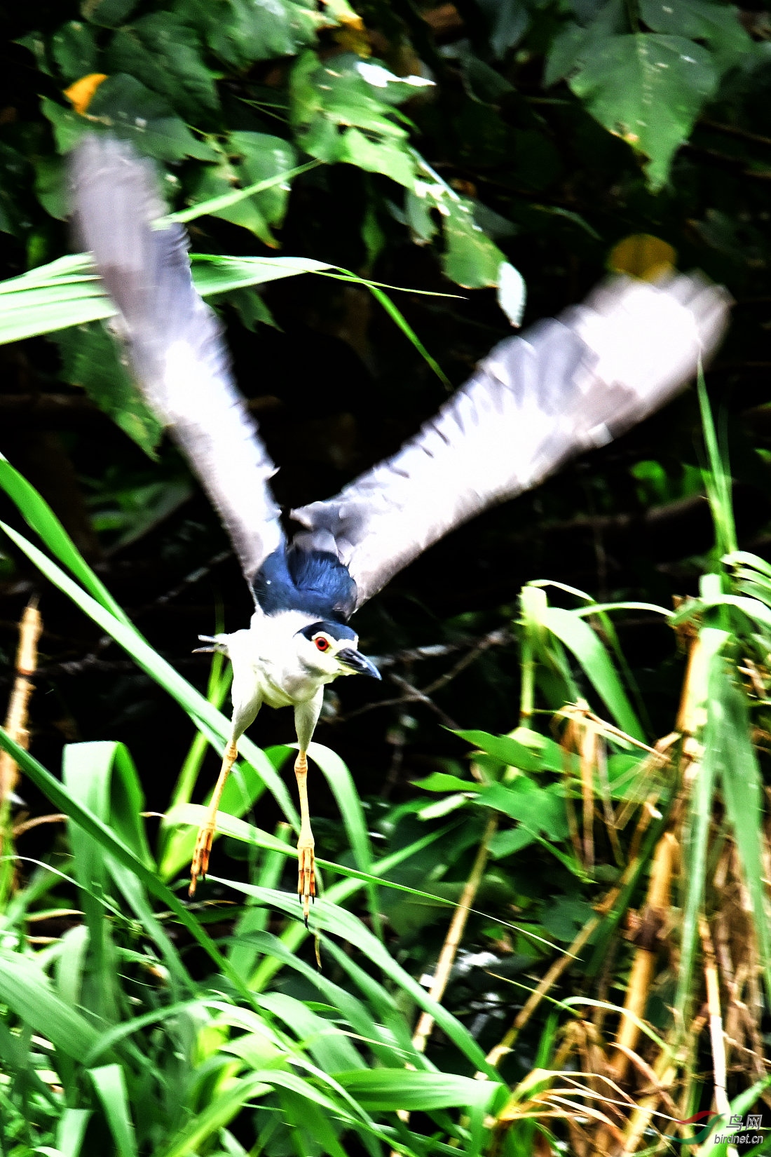 DSC_3584.JPG