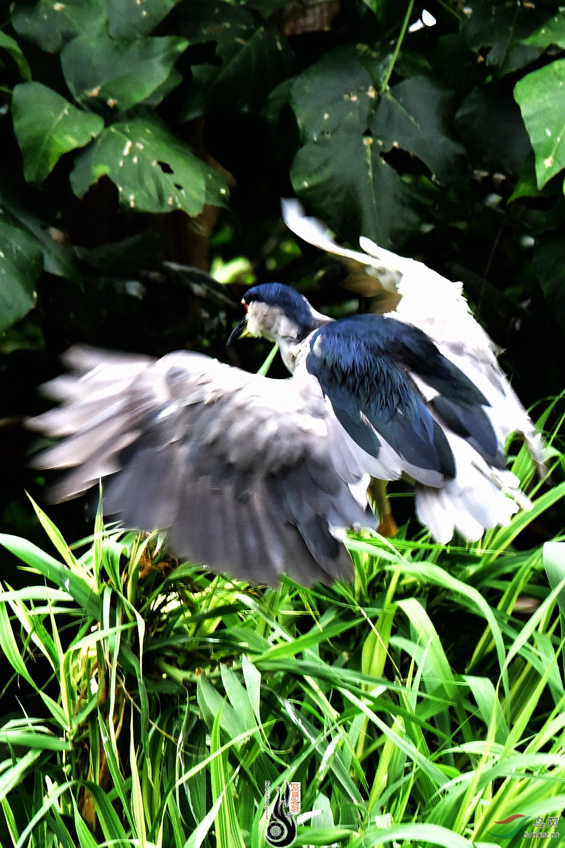 DSC_3596.JPG