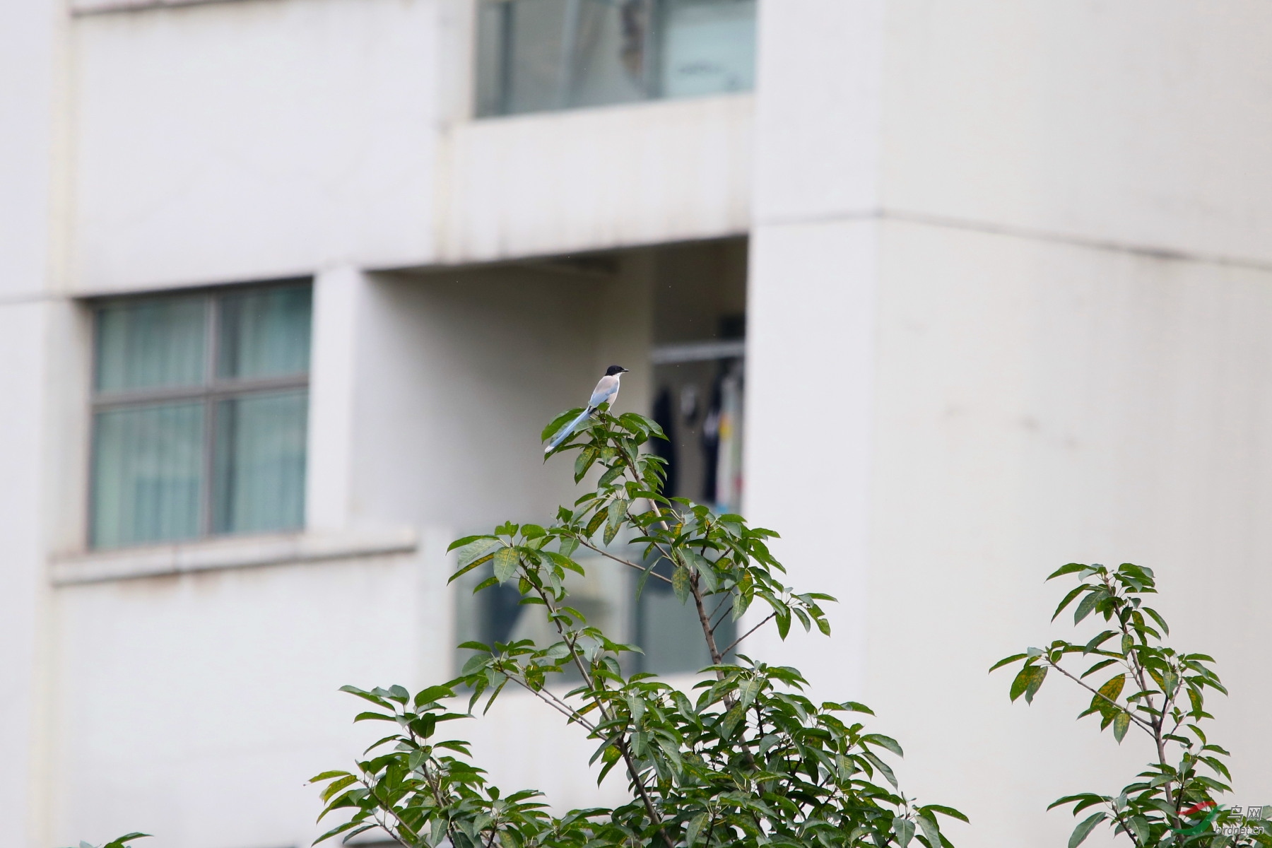 IMG_5039-1.JPG