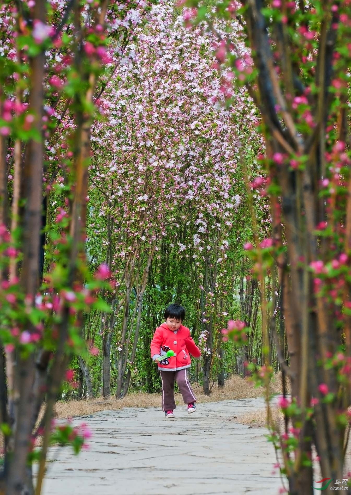 花季