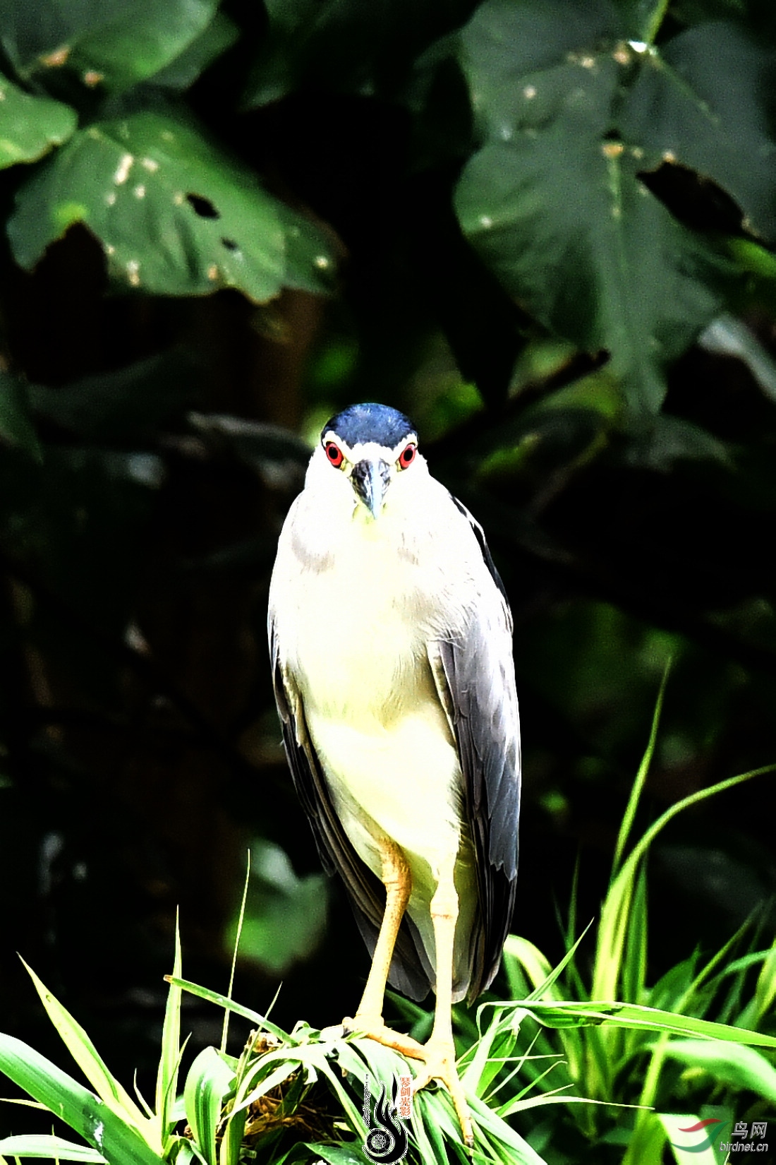 DSC_3602.JPG