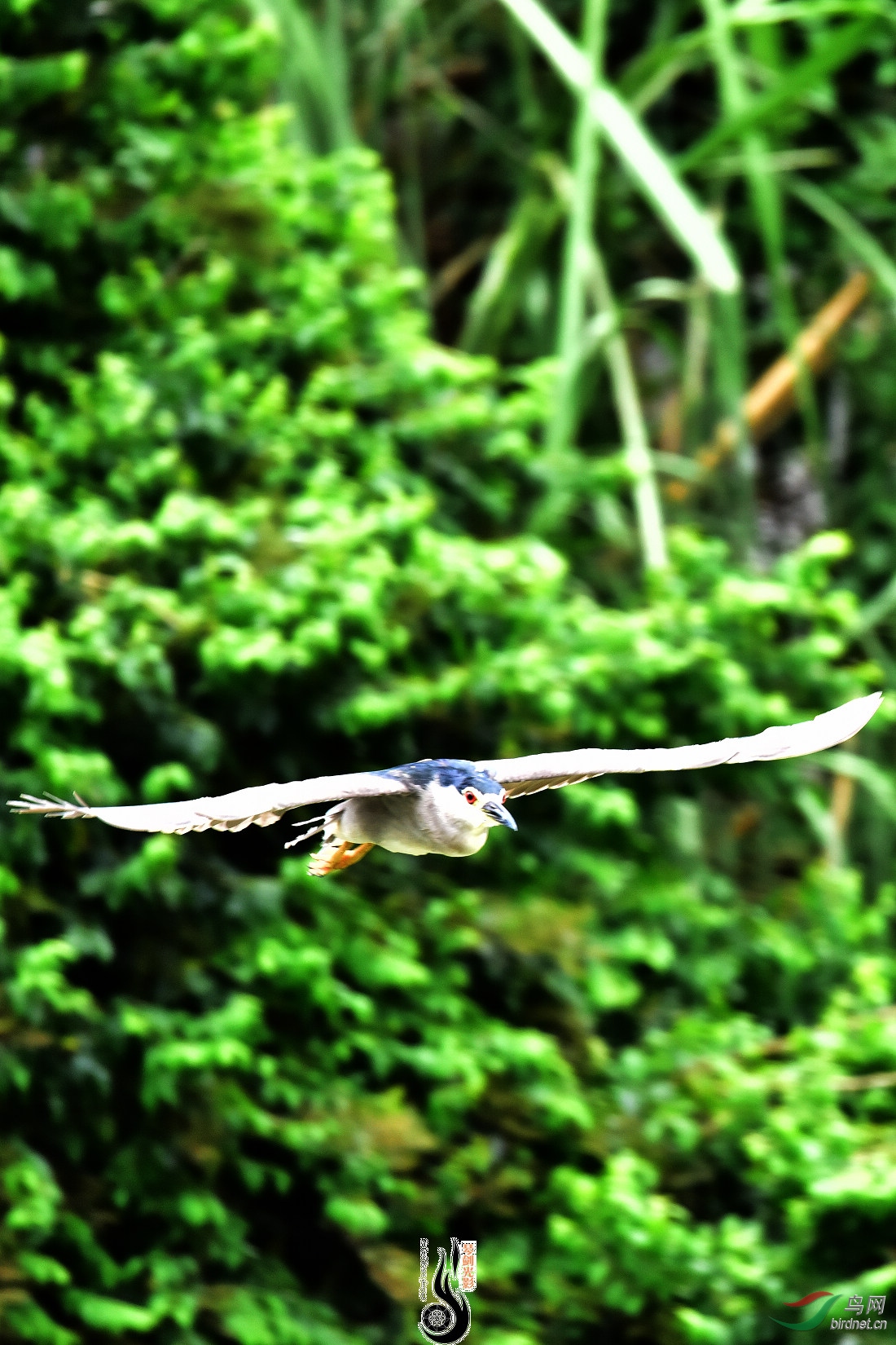 DSC_3610.JPG