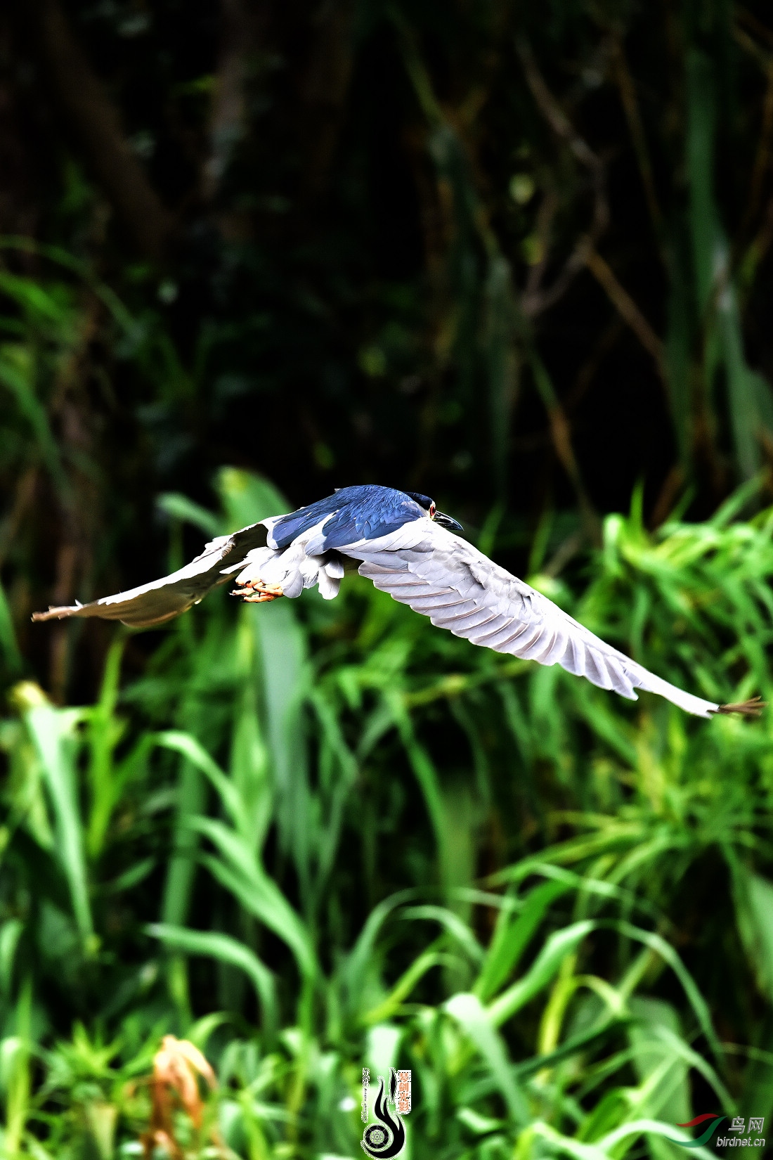 DSC_3620.JPG
