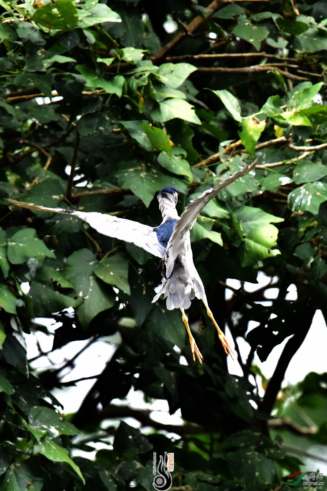 DSC_3626.JPG